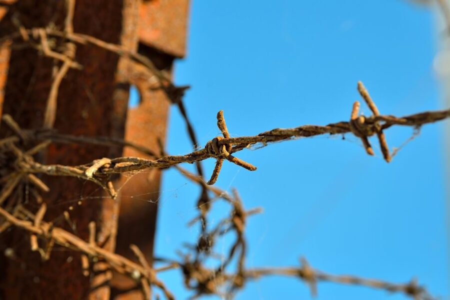 From Warsaw: Auschwitz-Birkenau Tour by Car - A sober lunch break between museum sections