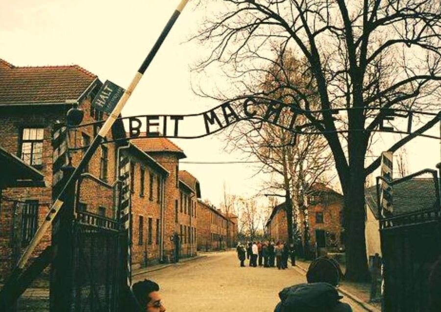 From Warsaw: Auschwitz Day Tour by Private Car with Lunch - Is $422 Per Person Good Value?