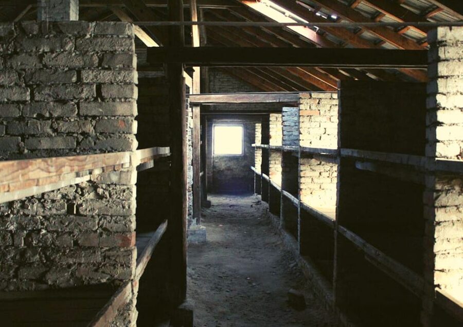 From Warsaw: Auschwitz Day Tour by Private Car with Lunch - Who Will Get the Most From This Experience?