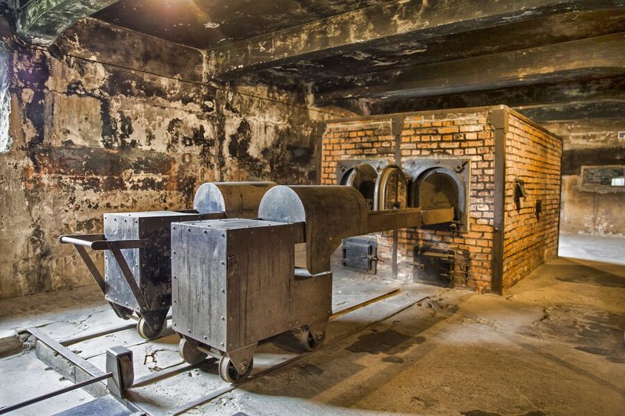 From Warsaw: Guided Tour to Auschwitz-Birkenau and Krakow - The return to Krakow and two hours of free time