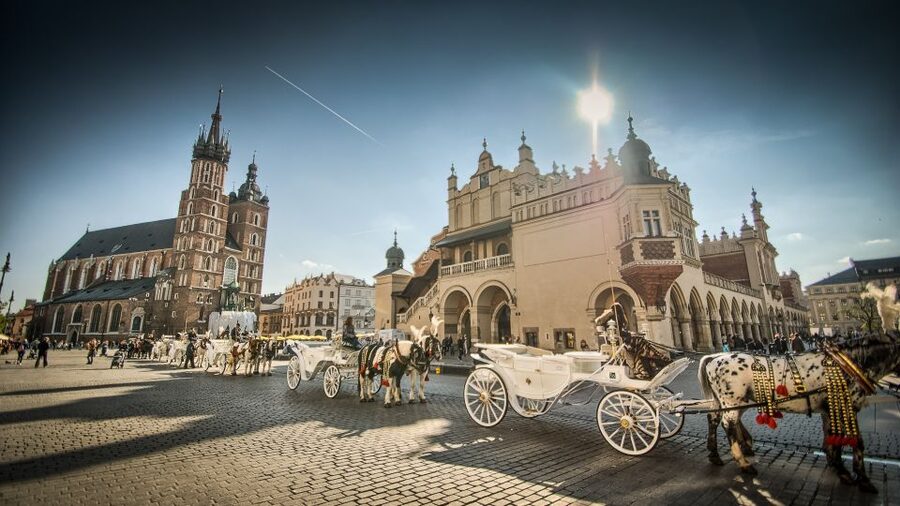 From Warsaw: Krakow Sightseeing Tour by Express Train - Wawel Castle, Where Poland’s Kings Ruled