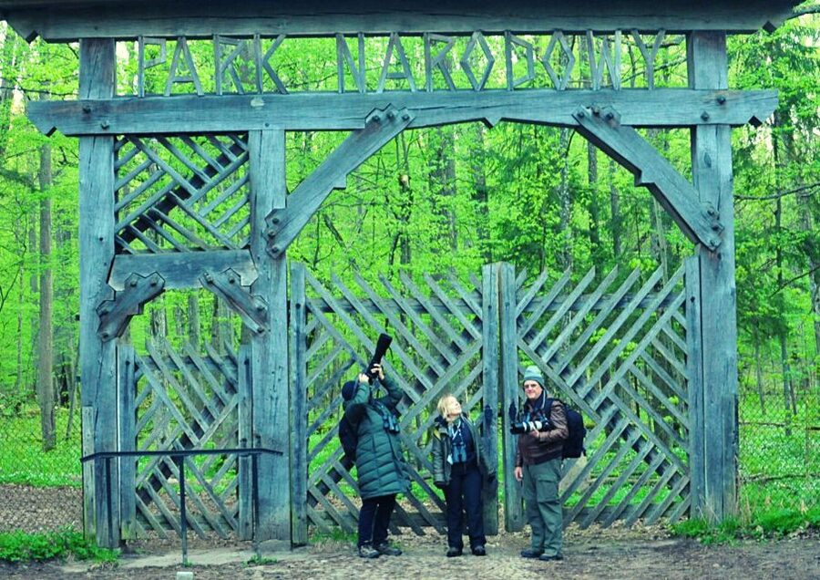 From Warsaw: Small-Group Tour to Bialowieza National Park - Białowieża Towarowa and the old railway atmosphere