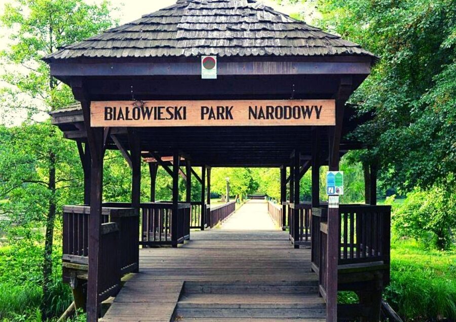 From Warsaw: Small-Group Tour to Bialowieza National Park - Starting in central Warsaw and settling into the day