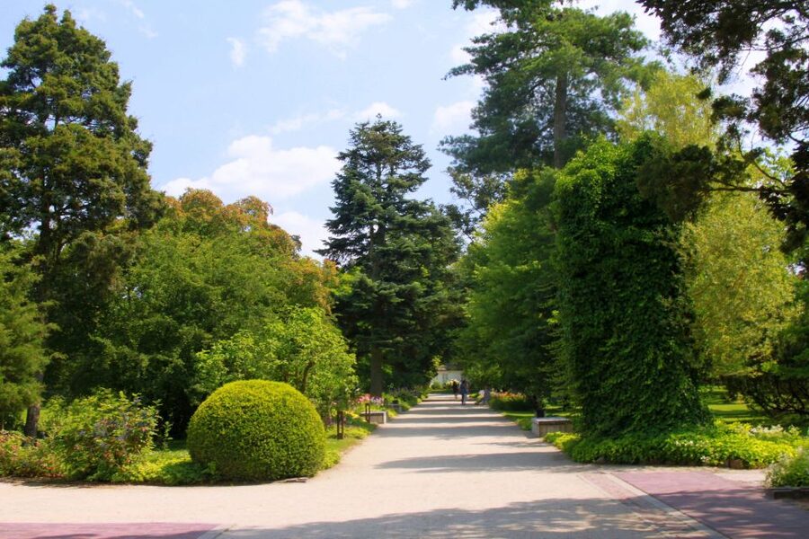 From Warsaw: Tour to Chopin's Birthplace - Żelazowa Wola - The Park Around the Manor House