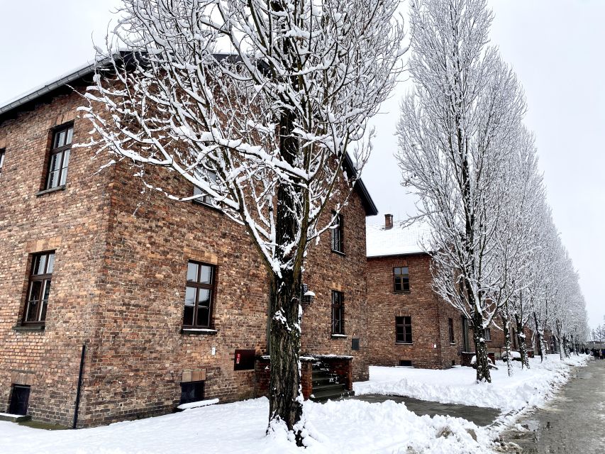 From Wrocław: Full-Day Auschwitz-Birkenau Guided Tour - Why this day from Wrocław is worth considering