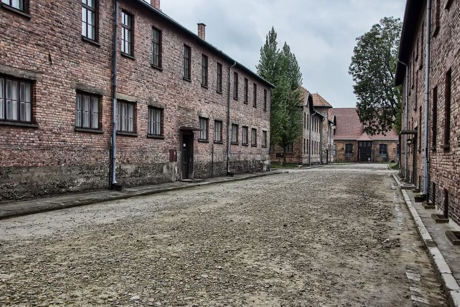 From Wrocław: Full-Day Auschwitz-Birkenau Guided Tour - Moving on to Birkenau II