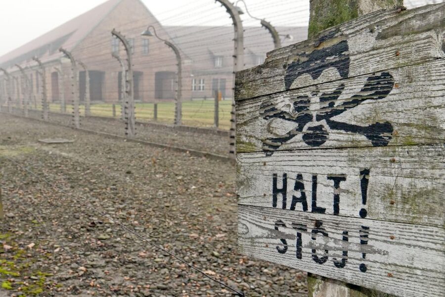 From Wrocław: Full-Day Auschwitz-Birkenau Guided Tour - The human touch from the drivers