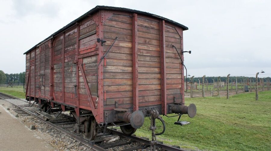 From Wrocław: Full-Day Auschwitz-Birkenau Guided Tour - Comfort, bags, and what to bring