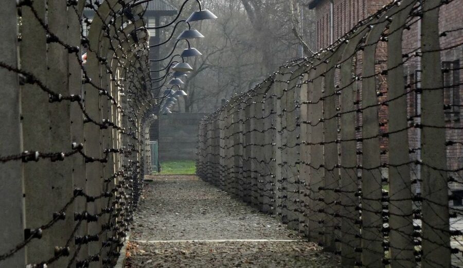 From Wrocław: Full-Day Auschwitz-Birkenau Guided Tour - Is $261 good value?