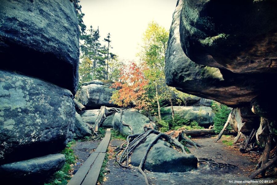 From Wroclaw: Full-Day Stolowe Mountains Trekking Tour - From Wroclaw to Karlow and the Stolowe Mountains