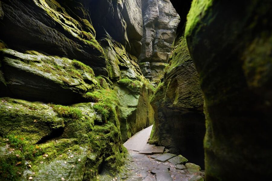 From Wroclaw: Hiking Trail in Rock City Adrspach - Key points to know before booking