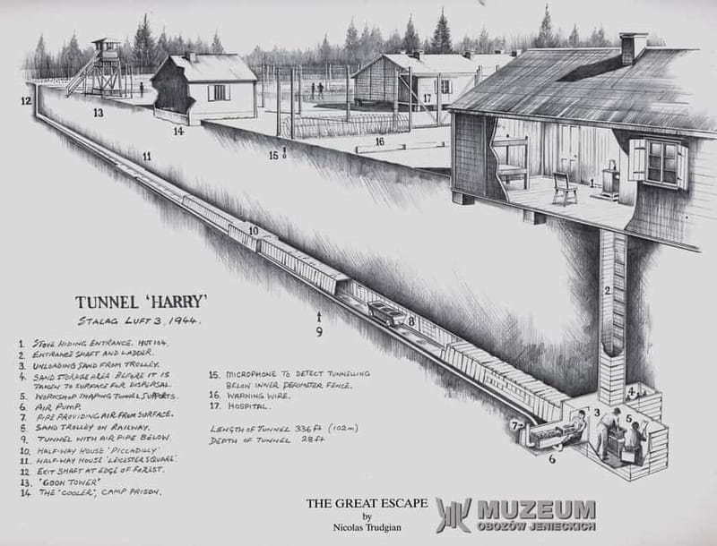 From Wrocław: Stalag Luft 3 Great Escape Tour - Should you book the Stalag Luft 3 tour?