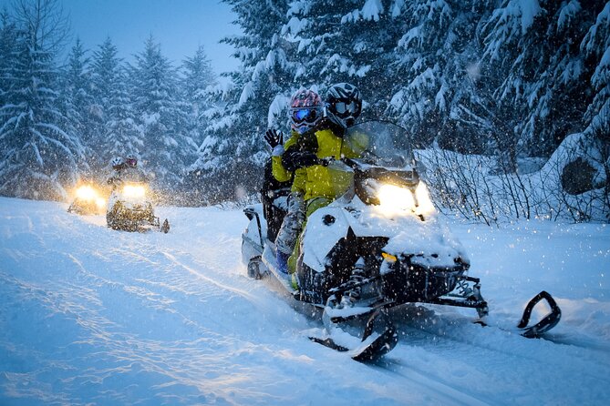 From Zakopane Snowmobile Ride with Bonfire and Transfer - What you are really paying for