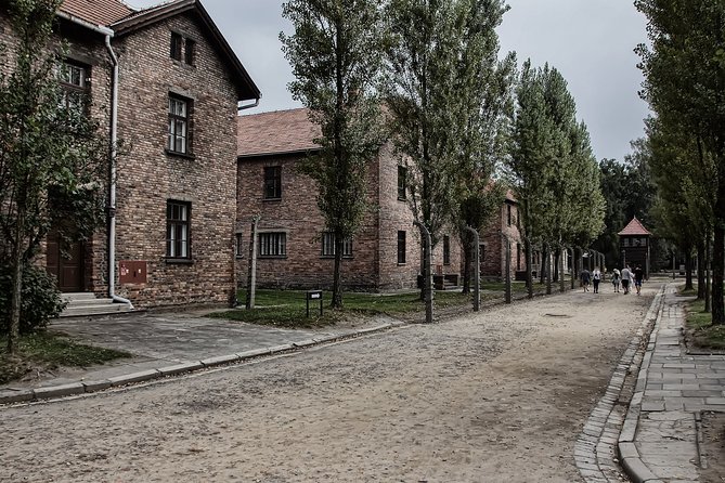 Full-Day Auschwitz and Birkenau Tour from Krakow with Private Transfer - Practical advice for a respectful visit