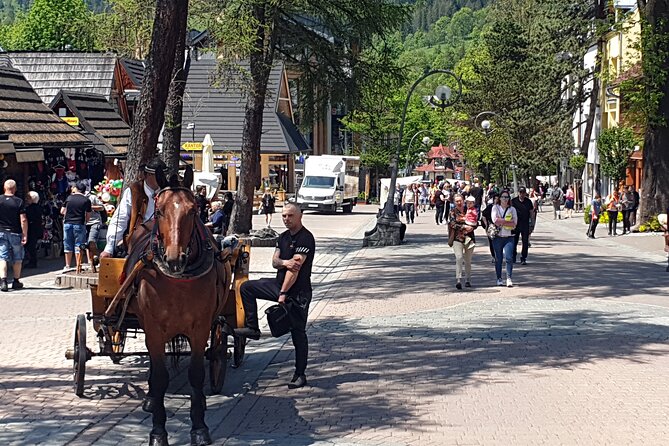 Full-Day Dunajec Rafting and Zakopane Tour from Krakow - Transport, comfort, and the long day