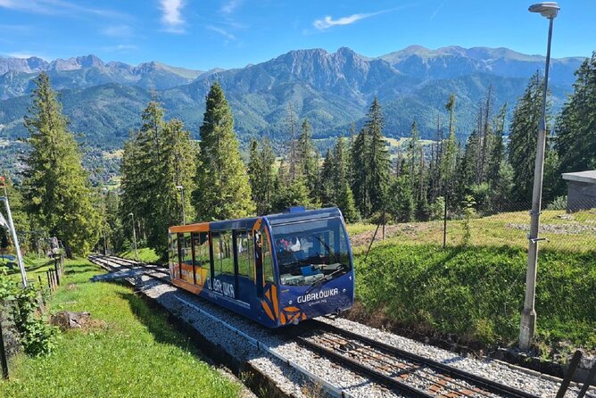 Full-Day Private Tour of Slovakia Treetop Walk and Zakopane - Key points to know before you book