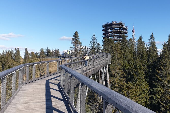Full-Day Private Tour of Slovakia Treetop Walk and Zakopane - Why this private Krakow day trip works