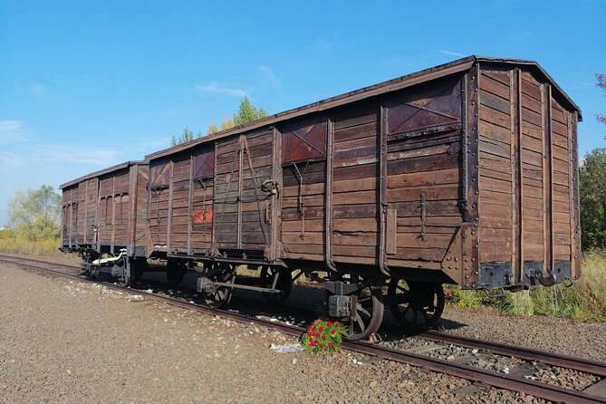 Full-Day Tour From Warsaw to Auschwitz (guided) and Krakow by car - Three hours around Krakow’s Main Market Square