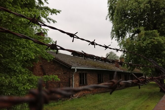 Full-Day Tour From Warsaw to Auschwitz (guided) and Krakow by car - Auschwitz-Birkenau: the central experience