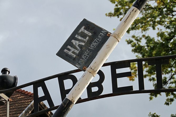 Full-Day Tour of Auschwitz-Birkenau and Salt Mine from Krakow - Starting from Kiss&RideWielopole 2