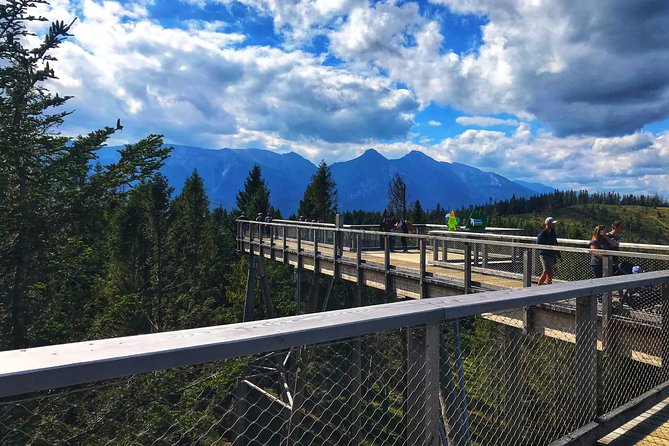 Full-Day Tour of Zakopane and Sky Walk Heart of Poronin - Walking above the trees at Sky Walk Heart of Poronin