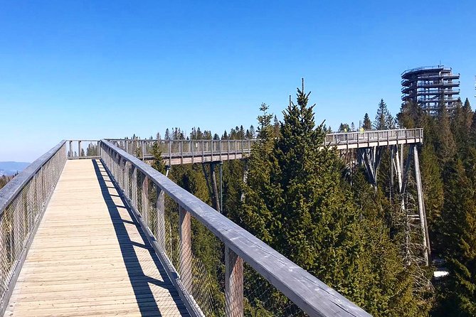 Full-Day Zakopane and Slovakia Treetop Walk From Krakow - What the $192.66 price really covers