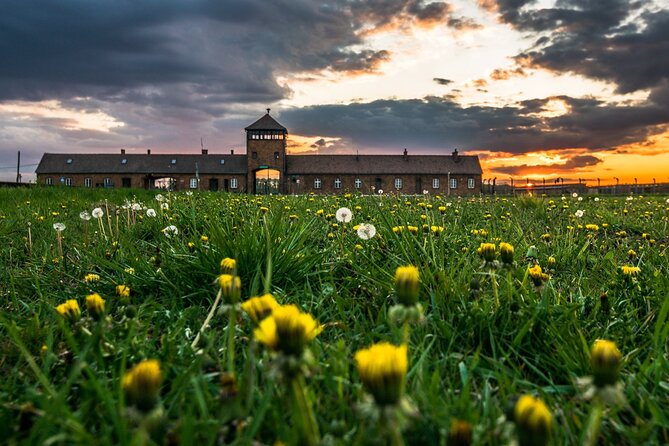 Guided Tour Krakow to Auschwitz-Birkenau with pickup options - Why this Krakow day trip matters