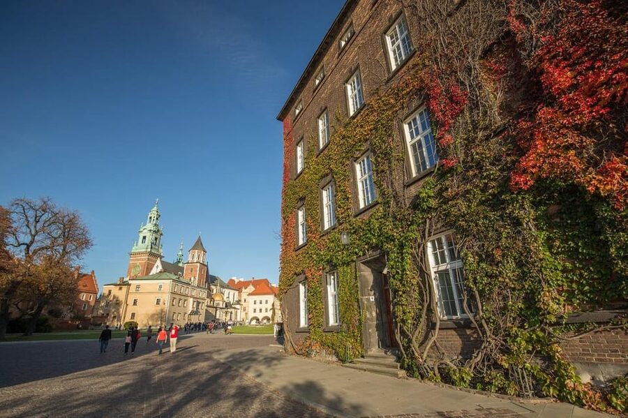 Guided Tour of the Wawel Castle & Cathedral in Cracow - Descending into the royal crypts