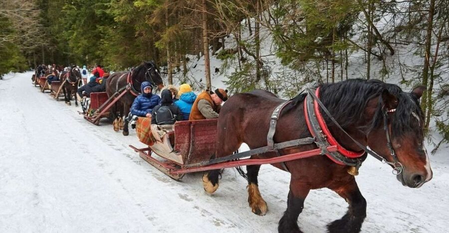 Horse Sleigh 2-3h Ride with Hot Springs or Zakopane Combos - Key details before you book