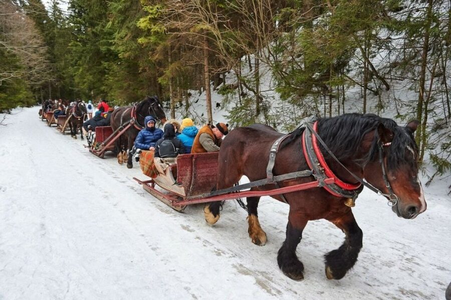Horse Sleigh 2-3h Ride with Hot Springs or Zakopane Combos - Why this combination works
