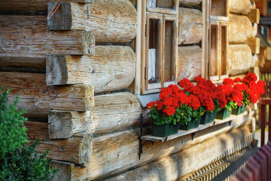 Horse Sleigh 2-3h Ride with Hot Springs or Zakopane Combos - The horse sleigh: two to three hours in the snow