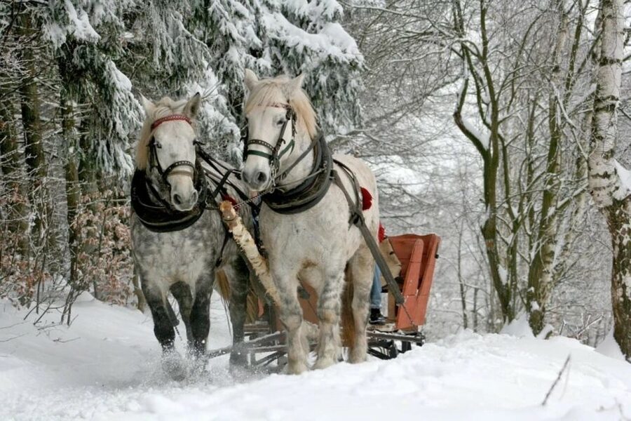 Horse Sleigh 2-3h Ride with Hot Springs or Zakopane Combos - Chocholowska Baths at 36 degrees Celsius