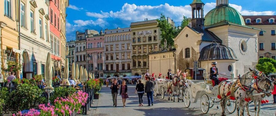 Krakow and Auschwitz Small-Group Tour from Warsaw with Lunch - Krakow Old Town in two hours