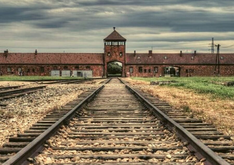 Krakow and Auschwitz Small-Group Tour from Warsaw with Lunch - What the $392 price really covers