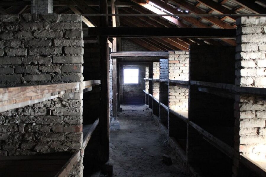 Krakow and Auschwitz Small-Group Tour from Warsaw with Lunch - Who should book this experience