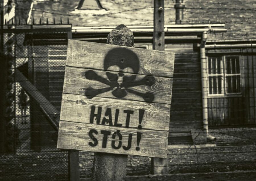 Krakow and Auschwitz Small-Group Tour from Warsaw with Lunch - Final call: a worthwhile but demanding day