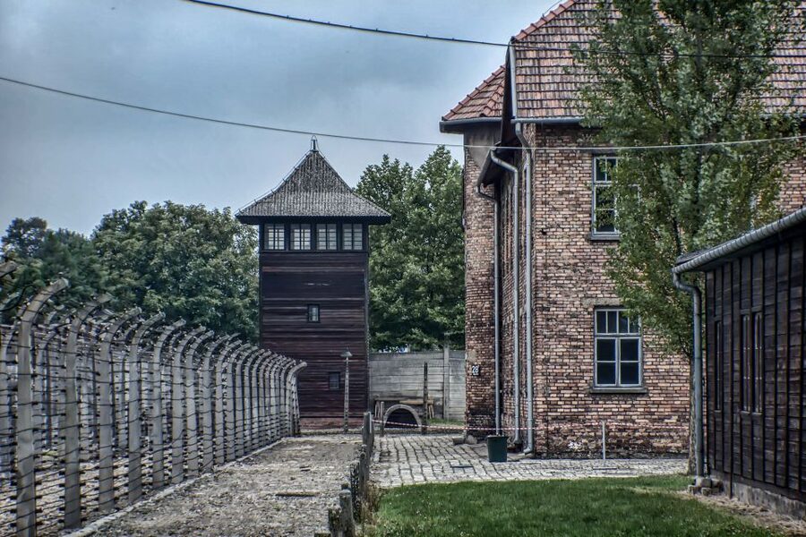 Krakow: Auschwitz and Wieliczka Salt Mine Combo Tour - Small-group transport is worth noticing