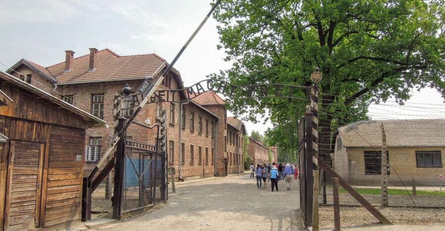 Krakow: Auschwitz and Wieliczka Salt Mine Combo Tour - The early pickup can shape your whole day