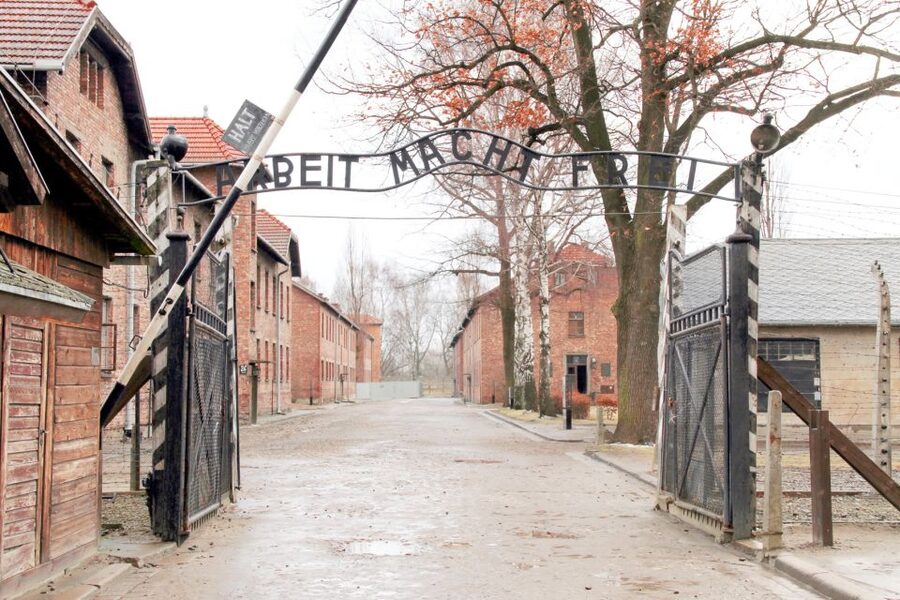 Krakow: Auschwitz-Birkenau and Salt Mine Guided Tour - Walking, bags, and the right clothes