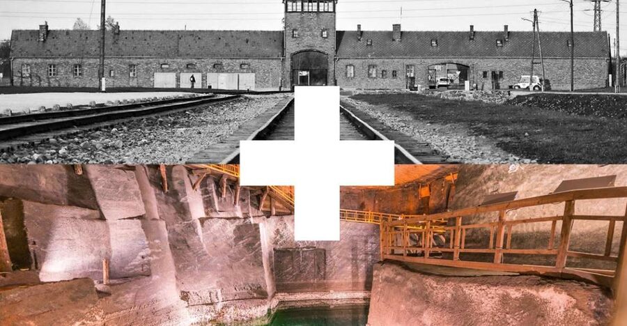 Krakow: Auschwitz-Birkenau and Salt Mine Guided Tour - Guides make the biggest difference