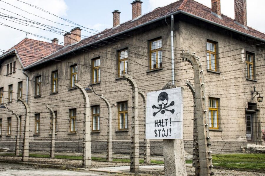 Krakow: Auschwitz-Birkenau and Salt Mine Guided Tour - What the $54 price really covers
