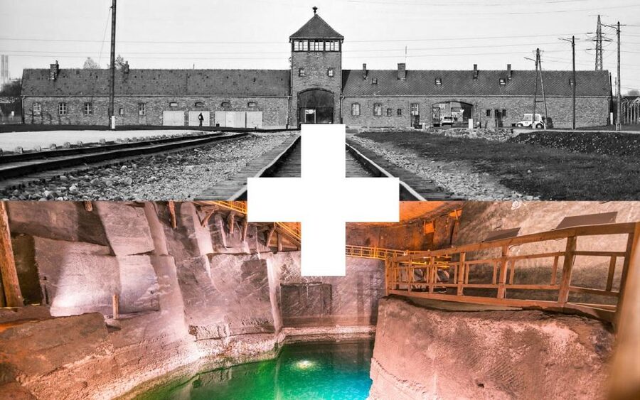 Krakow: Auschwitz-Birkenau and Salt Mine Guided Tour - Pickup times require flexible planning