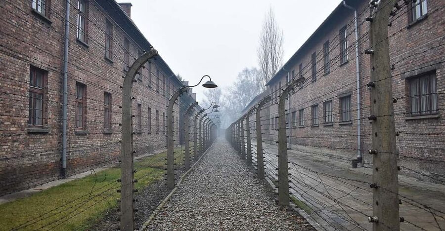 Krakow: Auschwitz-Birkenau Day Trip with Tour Leader - The short transfer to Birkenau