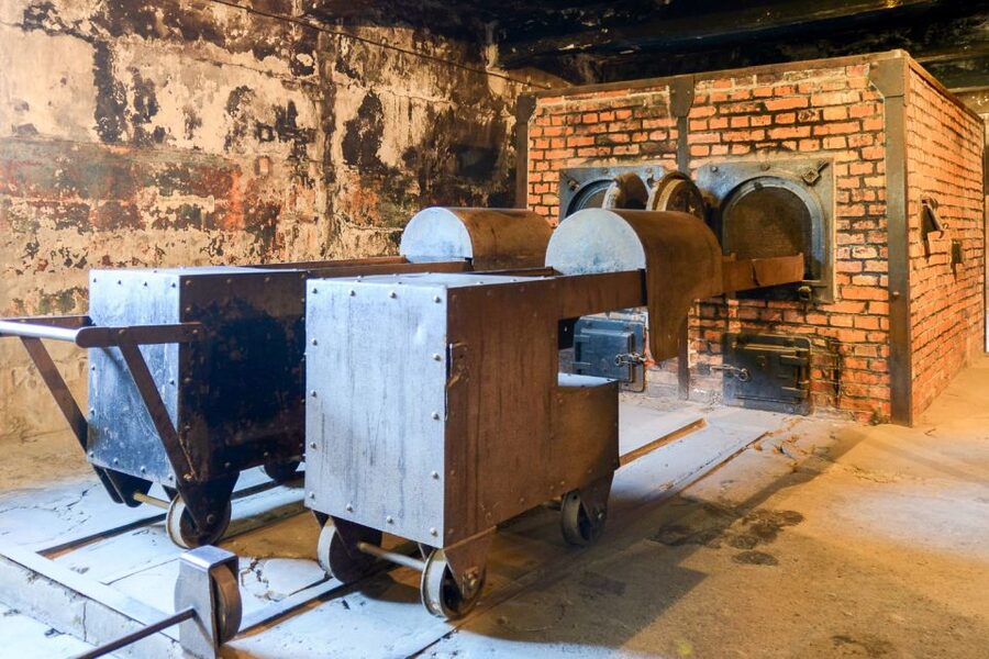 Krakow: Auschwitz-Birkenau Day Trip with Tour Leader - A self-guided format with useful freedom