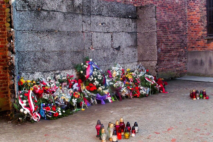 Krakow: Auschwitz-Birkenau Day Trip with Tour Leader - What to bring and what to leave behind