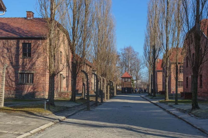 Krakow: Auschwitz-Birkenau Entry Ticket and Transfer - Why This Visit Matters