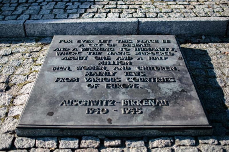 Krakow: Auschwitz-Birkenau Entry Ticket and Transfer - Why the Guide and Headset Matter