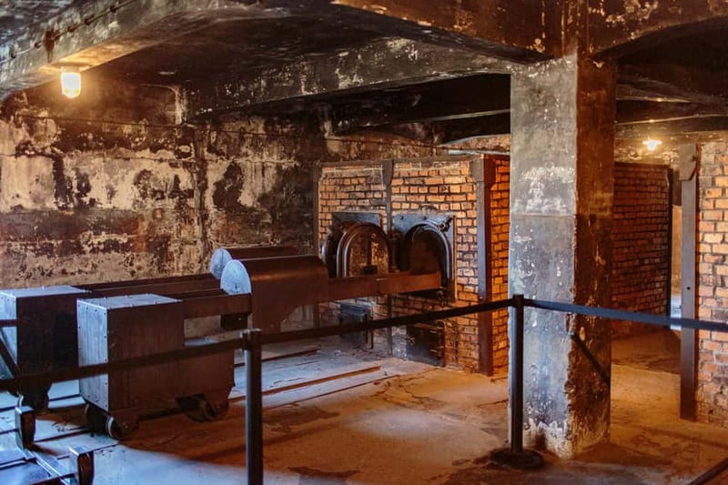 Krakow: Auschwitz-Birkenau Entry Ticket and Transfer - The 1.5-Hour Ride From Krakow