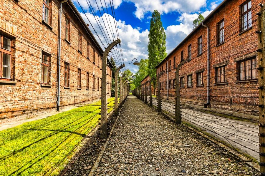 Krakow: Auschwitz-Birkenau Guided Tour and Private Transport - Auschwitz II-Birkenau: Scale, Silence, and Reflection