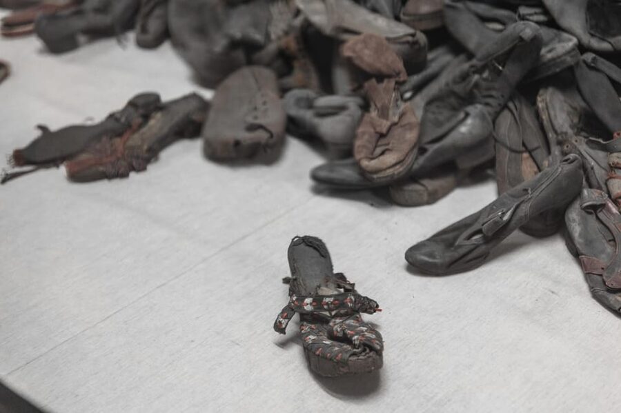 Krakow: Auschwitz-Birkenau Guided Tour and Private Transport - What the $387 Price Includes